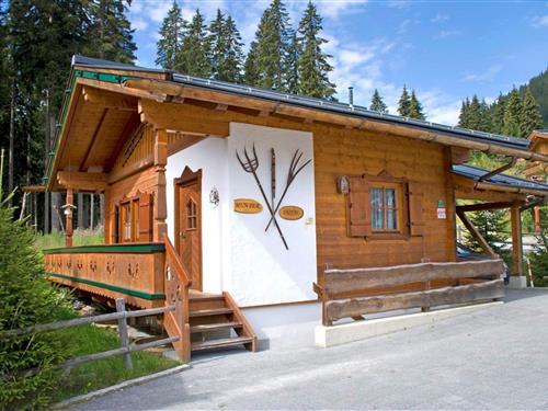 Holiday Home/Apartment - 8 persons -  - 5742 - Königsleiten