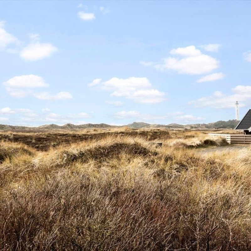Ferienhaus - 8 Personen -  - Fyrmarken - Nr. Lyngvig - 6960 - Hvide Sande