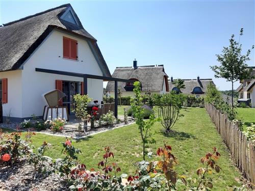 Sommerhus - 2 personer -  - De Poeler Drift - 23968 - Zierow