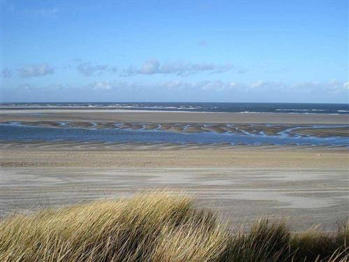 Semesterhus/Semesterlägenhet - 2 personer -  - Im Bad - 25826 - St. Peter-Ording