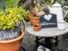 Bild 18