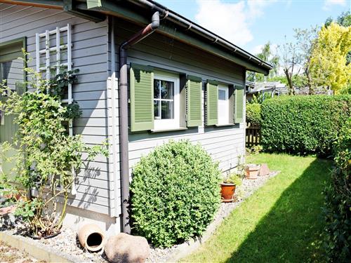 Ferieleilighet - 2 personer -  - Beuchow - 18581 - Putbus