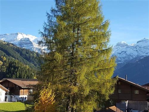 Sommerhus - 4 personer -  - Lenk - 3775