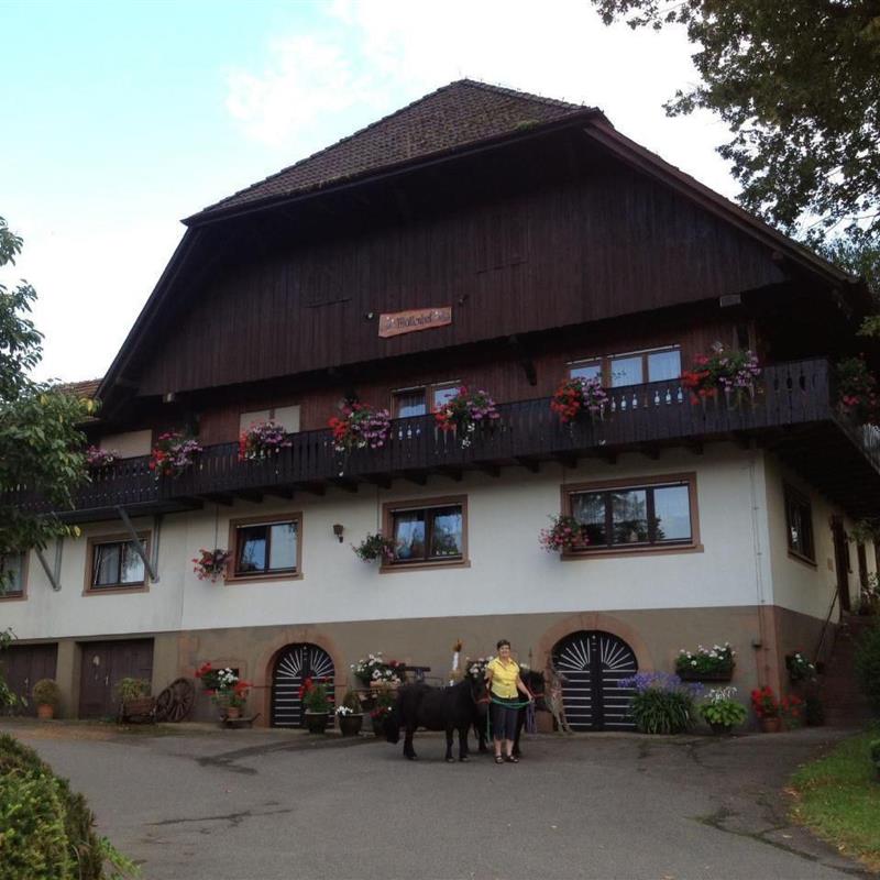Ferielejlighed - 5 personer -  - Zell Am Harmersbach - 77736