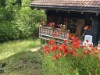 Bilde 15 - Ude