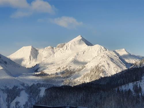 Sommerhus - 12 personer -  - Tauernstraße - 5561 - Untertauern