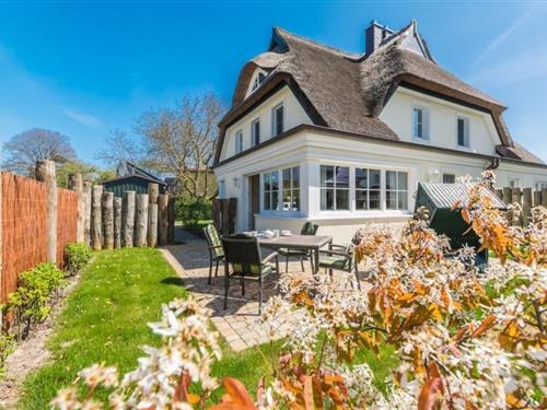 Sommerhus - 6 personer -  - Friedenstraße - 18374 - Zingst