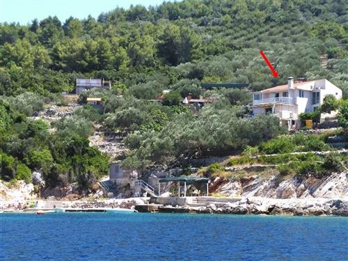 Holiday apartment - 3 persons -  - Lozica 3, Prigradica - 20271 - Blato
