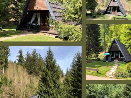 Sommerhus - 4 personer -  - Lautenthal - 38685