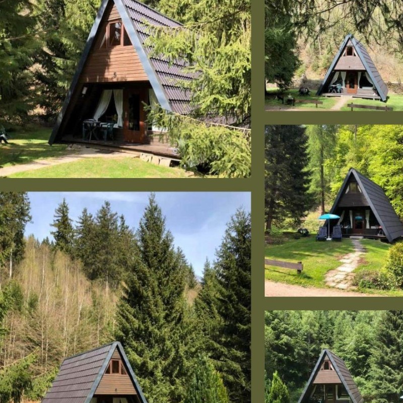 Sommerhus - 4 personer -  - 38685 - Lautenthal