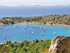 Billede 18