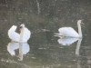 Billede 4