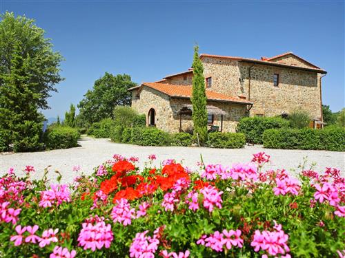 Semesterhus/Semesterlägenhet - 6 personer -  - Gaiole In Chianti - 53013