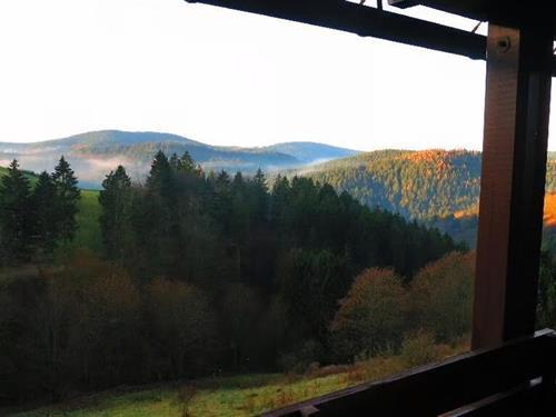 Ferielejlighed - 3 personer -  - Schwalbenherd - 37444 - Sankt Andreasberg