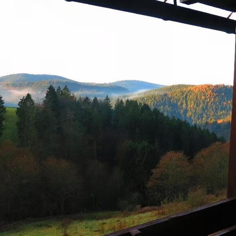 Ferielejlighed - 3 personer -  - Schwalbenherd - 37444 - Sankt Andreasberg