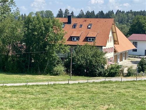 Holiday Home/Apartment - 2 persons -  - Nieratz - 88239 - Wangen-Niederwangen