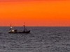 Billede 29