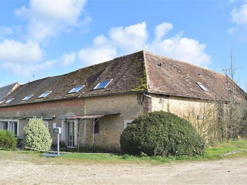 Sommerhus - 24 personer -  - Les Bruyères de Calleville - 14670 - Janville