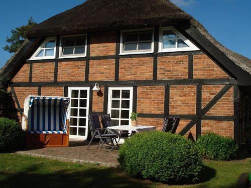 Sommerhus - 6 personer -  - 18574 - Garz Ot Freundenberg