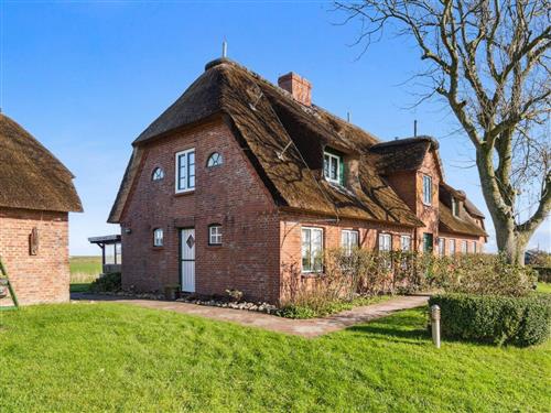 Ferieleilighet - 4 personer -  - Pellworm (Ort) - 25849