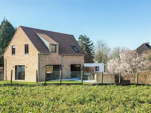 Sommerhus - 10 personer -  - Edelareberg - 9700 - Oudenaarde