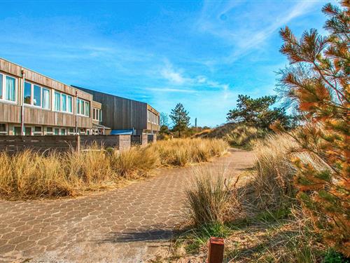 Ferieleilighet - 6 personer -  - Badweg - 9166 NG - Schiermonnikoog