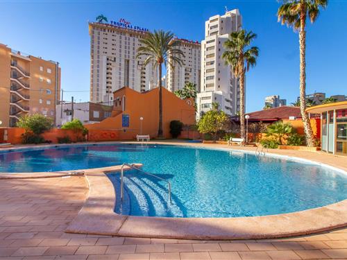 Ferienhaus - 4 Personen -  - Carrer Altea - 03502 - Benidorm