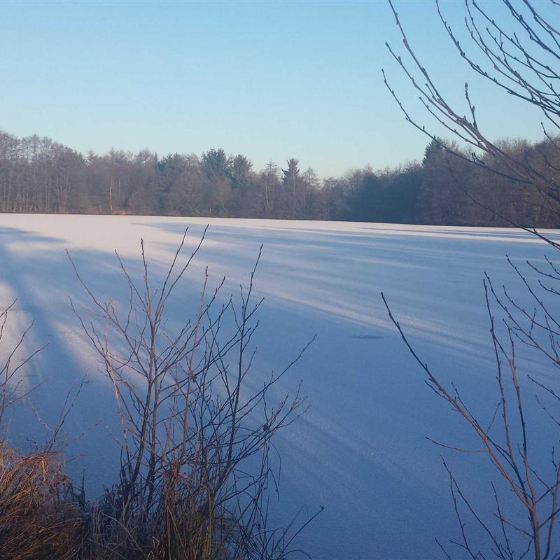 Ferielejlighed - 5 personer -  - Dorfstr. - 27412 - Bülstedt