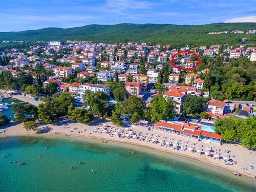 Semesterhus/Semesterlägenhet - 3 personer -  - Brace Dr. Sobol - 51260 - Crikvenica