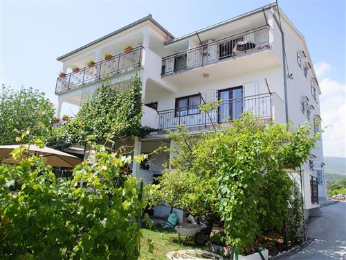 Holiday apartment - 4 persons -  - Put Umca - 21217 - Kastel Stafilic