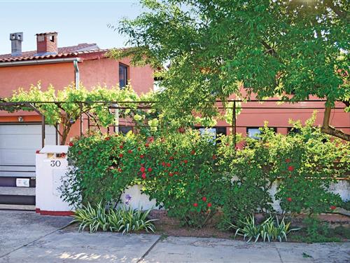 Ferieleilighet - 3 personer -  - Lavanda - Fazana-Valbandon - 52212 - Valbandon