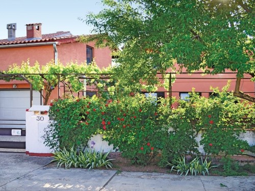 Ferieleilighet - 3 personer -  - Lavanda - Fazana-Valbandon - 52212 - Valbandon