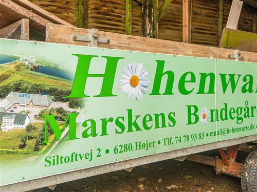 Sommerhus - 4 personer -  - SILTOFTVEJ 2, lejl. - 6280 - Højer