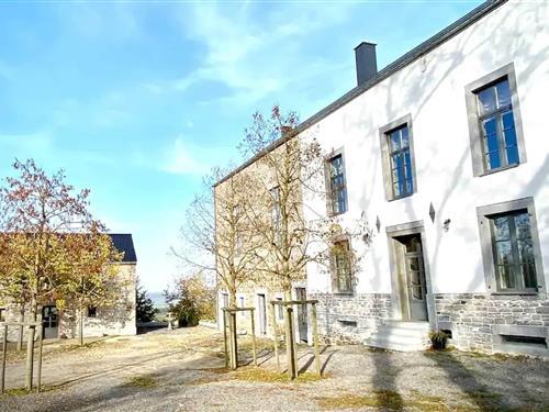 Herskabsvilla - 14 personer -  - 5570 - Wancennes