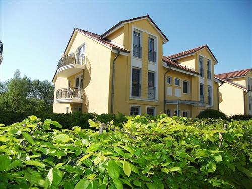 Ferieleilighet - 4 personer -  - Badstr. - 17429 - Bansin (Seebad)