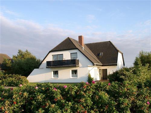 Ferieleilighet - 2 personer -  - Melnstich - 25980 - Sylt / Morsum