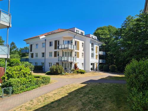 Ferienhaus - 2 Personen -  - Badeweg - 18181 - Seeheilbad Graal-Müritz