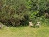 Billede 27 - Grund