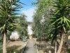 Image 39 - Outside