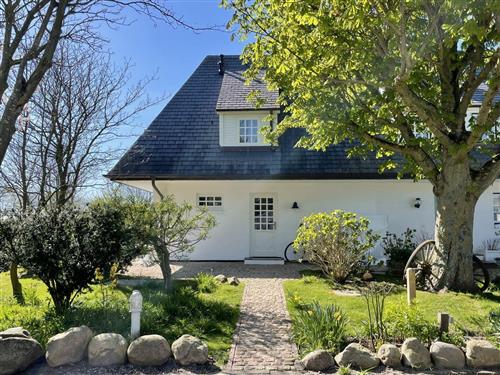 Sommerhus - 4 personer -  - Deichweg - 25980 - Sylt/ Archsum