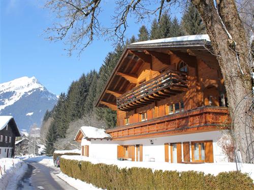 Ferielejlighed - 2 personer -  - Unterreeweg - 6791 - Sankt Gallenkirch