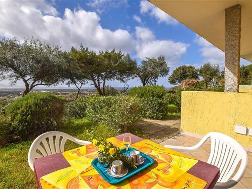 Ferielejlighed - 4 personer -  - Loc. Li Seddi snc - 07030 - Badesi