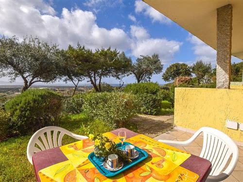 Ferieleilighet - 4 personer -  - Loc. Li Seddi snc - 07030 - Badesi