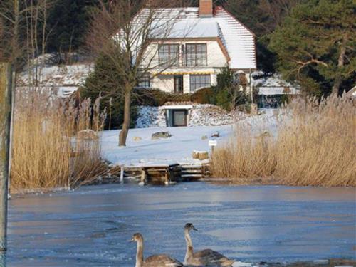 Ferielejlighed - 2 personer -  - Seestraße - 18586 - Sellin (Ostseebad)