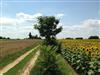 Image 40 - Outside