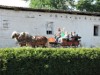 Billede 20