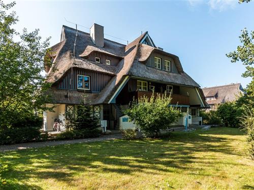 Ferielejlighed - 6 personer -  - Bauernreihe - 18347 - Ostseebad Ahrenshoop