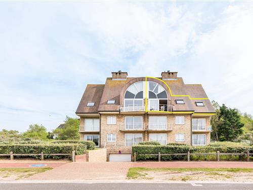 Ferieleilighet - 6 personer -  - 8660 - De Panne