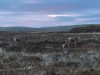 Image 18 - Outside
