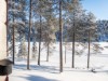 Bild 19 - Inde